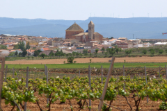 Alborea