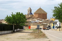Alborea