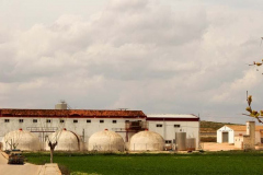 Bodega cooperativa San Isidro en Alborea