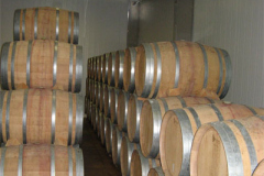Barricas de vino en la bodega San Isidro de Alborea