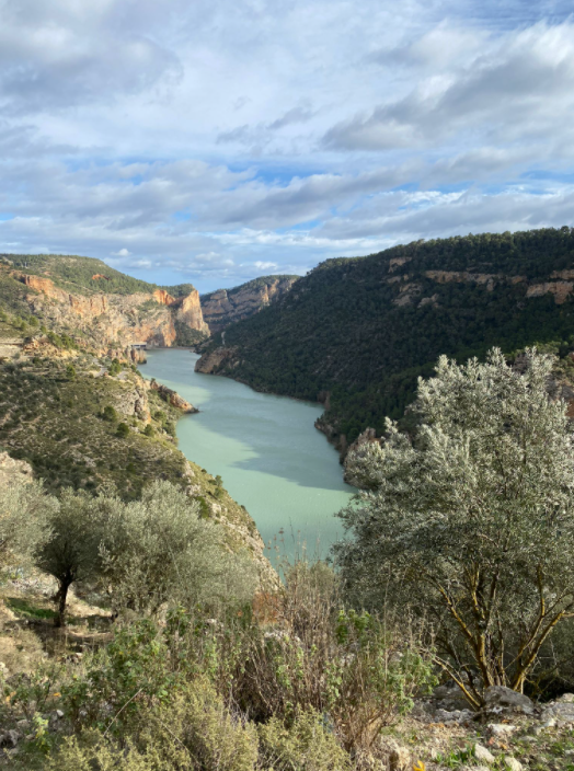 embalse del molinar