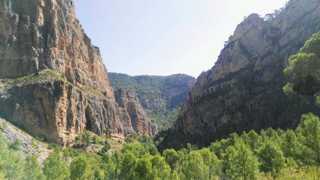 embalse del molinar
